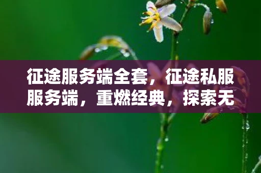 征途服务端全套，征途私服服务端，重燃经典，探索无限可能