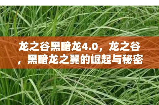 龙之谷黑暗龙4.0，龙之谷，黑暗龙之翼的崛起与秘密揭晓