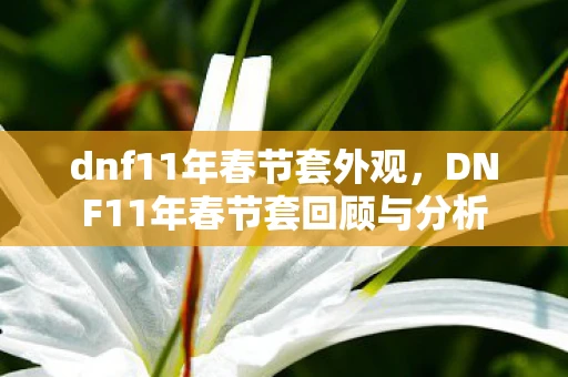 dnf11年春节套外观,DNF11年春节套回顾与分析 dnf11年春节套外观,DNF11年春节套回顾与分析