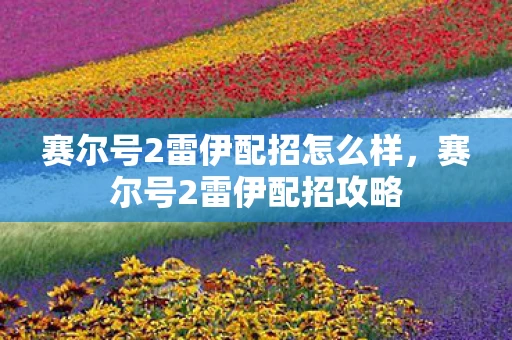 赛尔号2雷伊配招怎么样,赛尔号2雷伊配招攻略 赛尔号2雷伊配招怎么样,赛尔号2雷伊配招攻略