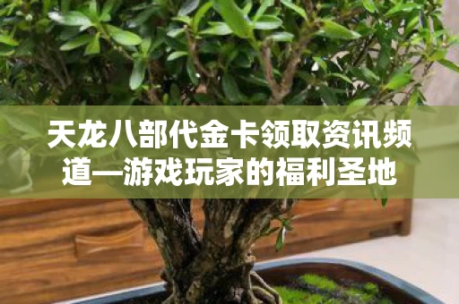 天龙八部代金卡领取资讯频道图片