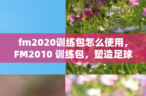 fm2020训练包怎么使用,FM2010 训练包,塑造足球经理的辉煌历程 fm2020训练包怎么使用,FM2010 训练包,塑造足球经理的辉煌历程