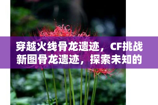 穿越火线骨龙遗迹,CF挑战新图骨龙遗迹,探索未知的神秘 穿越火线骨龙遗迹,CF挑战新图骨龙遗迹,探索未知的神秘