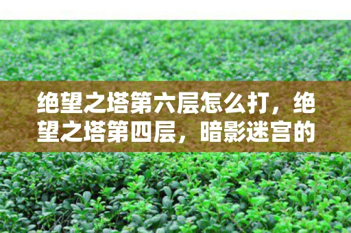 绝望之塔第六层怎么打,绝望之塔第四层,暗影迷宫的挑战 绝望之塔第六层怎么打,绝望之塔第四层,暗影迷宫的挑战