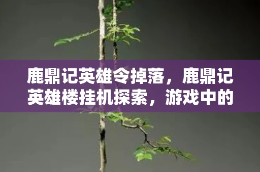鹿鼎记英雄令掉落,鹿鼎记英雄楼挂机探索,游戏中的轻松挑战之旅 鹿鼎记英雄令掉落,鹿鼎记英雄楼挂机探索,游戏中的轻松挑战之旅