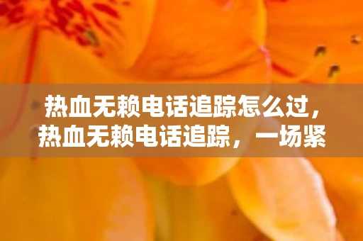 热血无赖电话追踪怎么过,热血无赖电话追踪,一场紧张刺激的电子追踪之旅 热血无赖电话追踪怎么过,热血无赖电话追踪,一场紧张刺激的电子追踪之旅