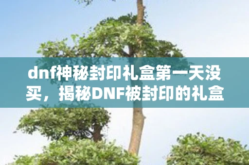 dnf神秘封印礼盒第一天没买,揭秘DNF被封印的礼盒,神秘礼物的背后故事 dnf神秘封印礼盒第一天没买,揭秘DNF被封印的礼盒,神秘礼物的背后故事