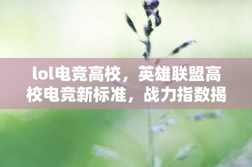 lol电竞高校,英雄联盟高校电竞新标准,战力指数揭秘各大高校队伍实力 lol电竞高校,英雄联盟高校电竞新标准,战力指数揭秘各大高校队伍实力