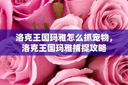 洛克王国玛雅怎么抓宠物，洛克王国玛雅捕捉攻略