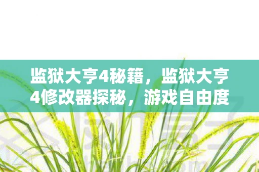 监狱大亨4秘籍，监狱大亨4修改器探秘，游戏自由度的全新解锁
