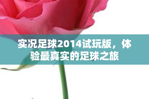 实况足球2014试玩版图片