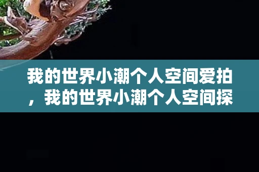 我的世界小潮个人空间爱拍，我的世界小潮个人空间探索与资讯分享
