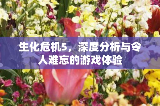 深度分析与令人难忘的游戏体验图片