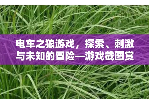 刺激与未知的冒险图片