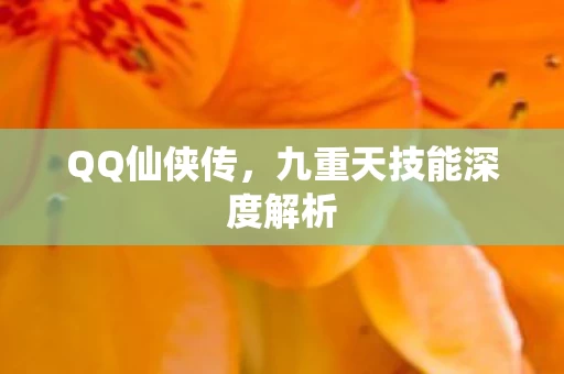 九重天技能深度解析图片