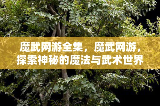 魔武网游全集,魔武网游,探索神秘的魔法与武术世界 魔武网游全集,魔武网游,探索神秘的魔法与武术世界