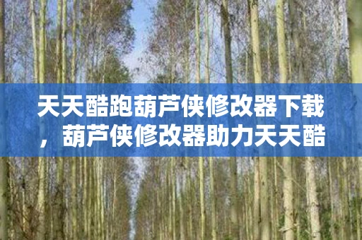 天天酷跑葫芦侠修改器下载,葫芦侠修改器助力天天酷跑,游戏攻略与体验分享 天天酷跑葫芦侠修改器下载,葫芦侠修改器助力天天酷跑,游戏攻略与体验分享