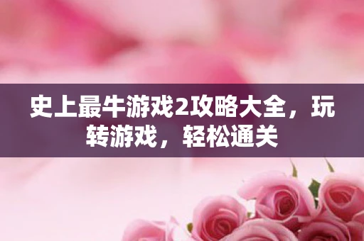 史上最牛游戏2攻略大全，玩转游戏，轻松通关