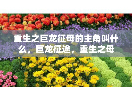 重生之巨龙征母的主角叫什么,巨龙征途,重生之母 重生之巨龙征母的主角叫什么,巨龙征途,重生之母