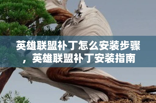 英雄联盟补丁怎么安装步骤,英雄联盟补丁安装指南 英雄联盟补丁怎么安装步骤,英雄联盟补丁安装指南