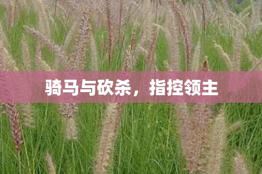 骑马与砍杀图片