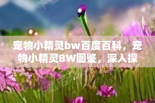 宠物小精灵bw百度百科，宠物小精灵BW图鉴，深入探索游戏世界