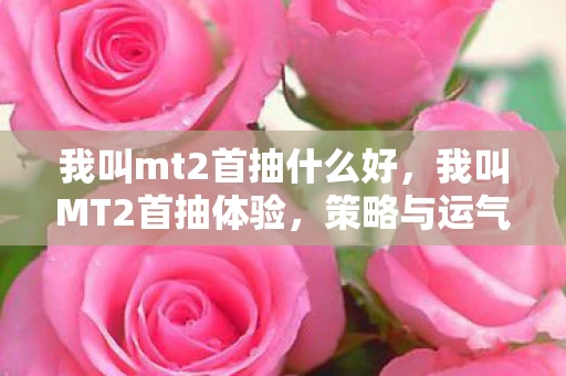 我叫mt2首抽什么好，我叫MT2首抽体验，策略与运气的完美结合