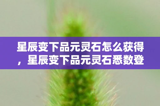 星辰变下品元灵石怎么获得,星辰变下品元灵石悉数登场,探索与战斗的终极武器 星辰变下品元灵石怎么获得,星辰变下品元灵石悉数登场,探索与战斗的终极武器