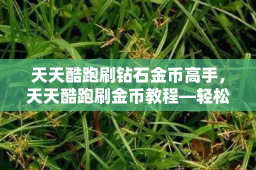 天天酷跑刷钻石金币高手，天天酷跑刷金币教程—轻松积累财富，畅游跑酷世界