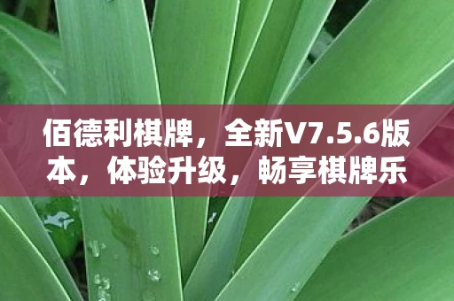 佰德利棋牌，全新V7.5.6版本，体验升级，畅享棋牌乐趣