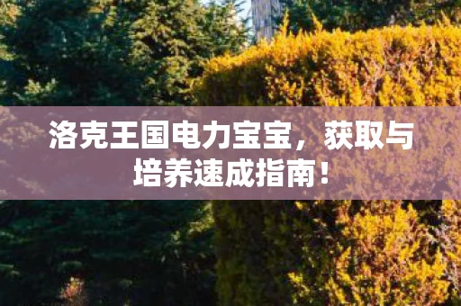 获取与培养速成指南图片
