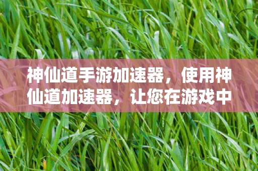 神仙道手游加速器，使用神仙道加速器，让您在游戏中快人一步！