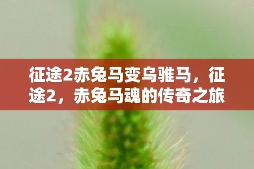 征途2赤兔马变乌骓马，征途2，赤兔马魂的传奇之旅