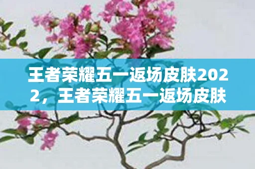 王者荣耀五一返场皮肤2022，王者荣耀五一返场皮肤2021，玩家期待与议论的焦点