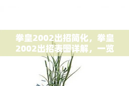 拳皇2002出招简化，拳皇2002出招表图详解，一览众角色的必杀技