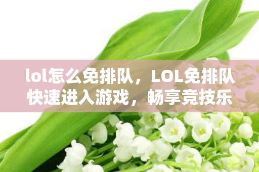 lol怎么免排队,LOL免排队快速进入游戏,畅享竞技乐趣 lol怎么免排队,LOL免排队快速进入游戏,畅享竞技乐趣
