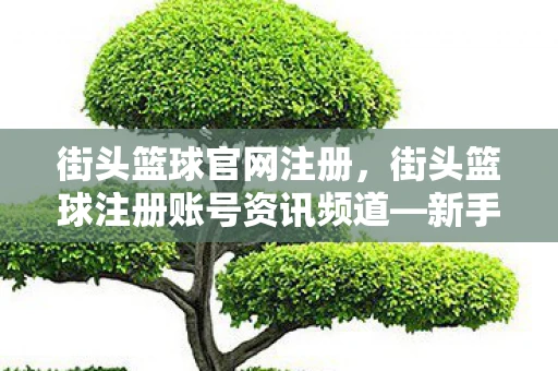 街头篮球官网注册,街头篮球注册账号资讯频道—新手入门指南 街头篮球官网注册,街头篮球注册账号资讯频道—新手入门指南