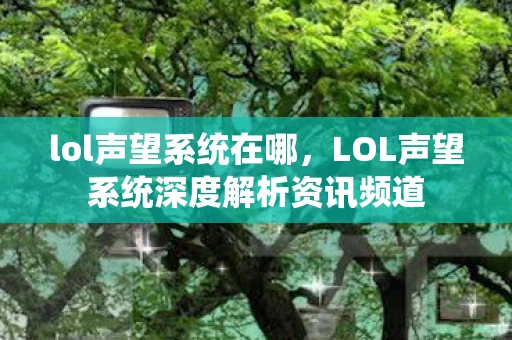 lol声望系统在哪，LOL声望系统深度解析资讯频道