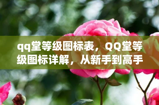 qq堂等级图标表,QQ堂等级图标详解,从新手到高手的进阶之路 qq堂等级图标表,QQ堂等级图标详解,从新手到高手的进阶之路
