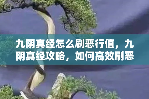 九阴真经怎么刷恶行值，九阴真经攻略，如何高效刷恶