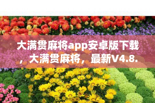 大满贯麻将app安卓版下载,大满贯麻将,最新V4.8.6版APP下载及应用指南 大满贯麻将app安卓版下载,大满贯麻将,最新V4.8.6版APP下载及应用指南