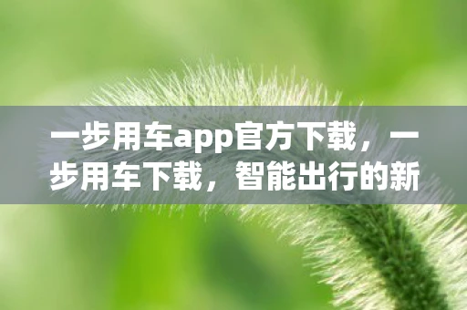 一步用车app官方下载,一步用车下载,智能出行的新选择 一步用车app官方下载,一步用车下载,智能出行的新选择