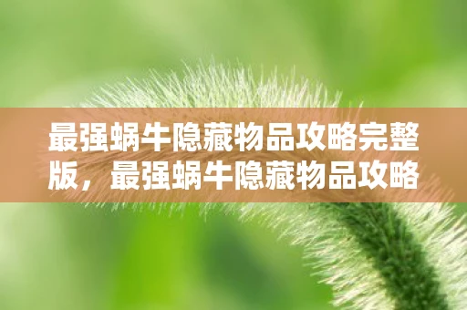 最强蜗牛隐藏物品攻略完整版，最强蜗牛隐藏物品攻略秘籍大揭秘