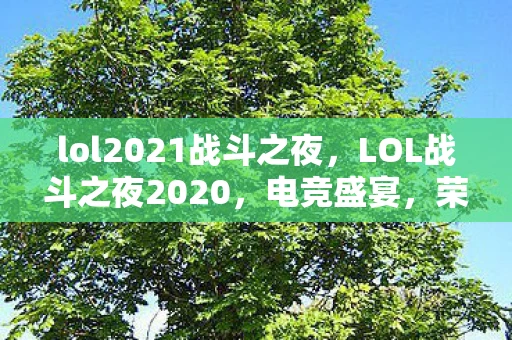 lol2021战斗之夜，LOL战斗之夜2020，电竞盛宴，荣耀之战