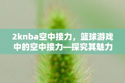 2knba空中接力,篮球游戏中的空中接力—探究其魅力与技巧 2knba空中接力,篮球游戏中的空中接力—探究其魅力与技巧