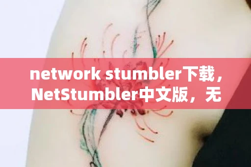 network stumbler下载,NetStumbler中文版,无线网络探索的利器 network stumbler下载,NetStumbler中文版,无线网络探索的利器
