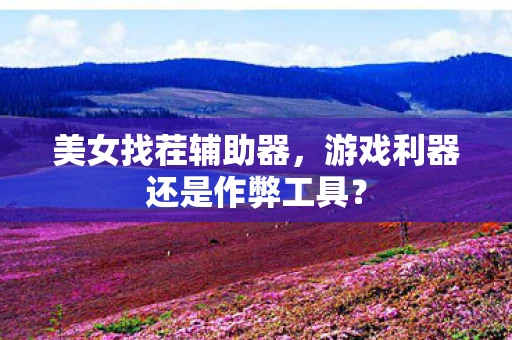 美女找茬辅助器,游戏利器还是作弊工具? 美女找茬辅助器,游戏利器还是作弊工具?