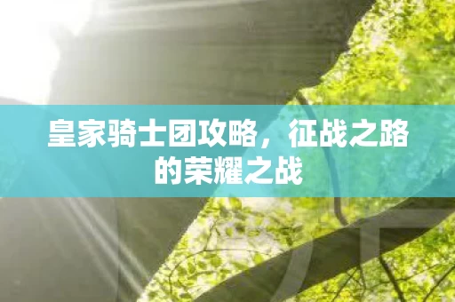 征战之路的荣耀之战图片