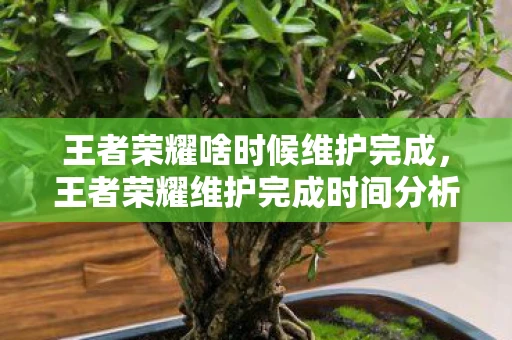 王者荣耀啥时候维护完成，王者荣耀维护完成时间分析