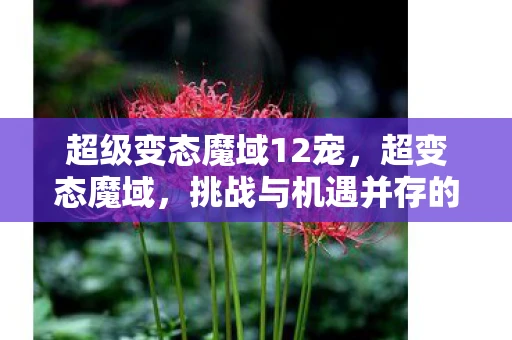 超级变态魔域12宠，超变态魔域，挑战与机遇并存的魔幻世界